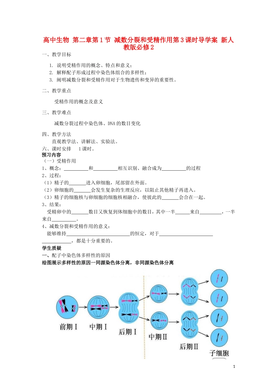 高中生物 第二章第1节 减数分裂和受精作用第3课时导学案 新人教版必修2_第1页