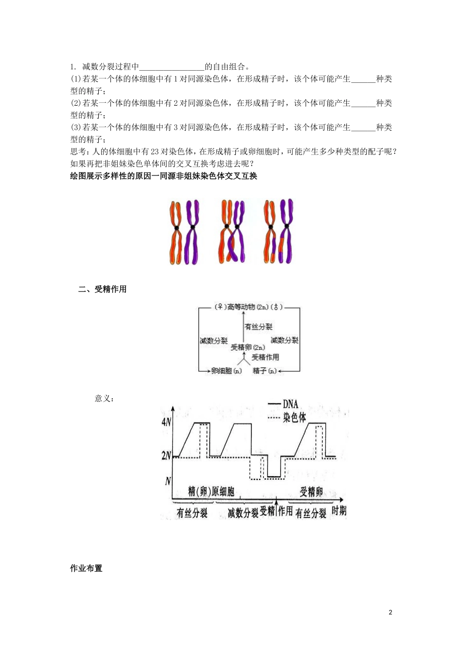 高中生物 第二章第1节 减数分裂和受精作用第3课时导学案 新人教版必修2_第2页