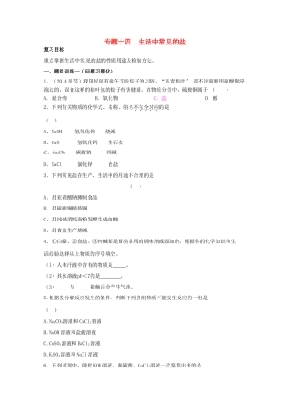 山西省阳泉市平定县中考化学 专题复习十四 生活中常见的盐导学案 新人教版-新人教版初中九年级全册化学学案