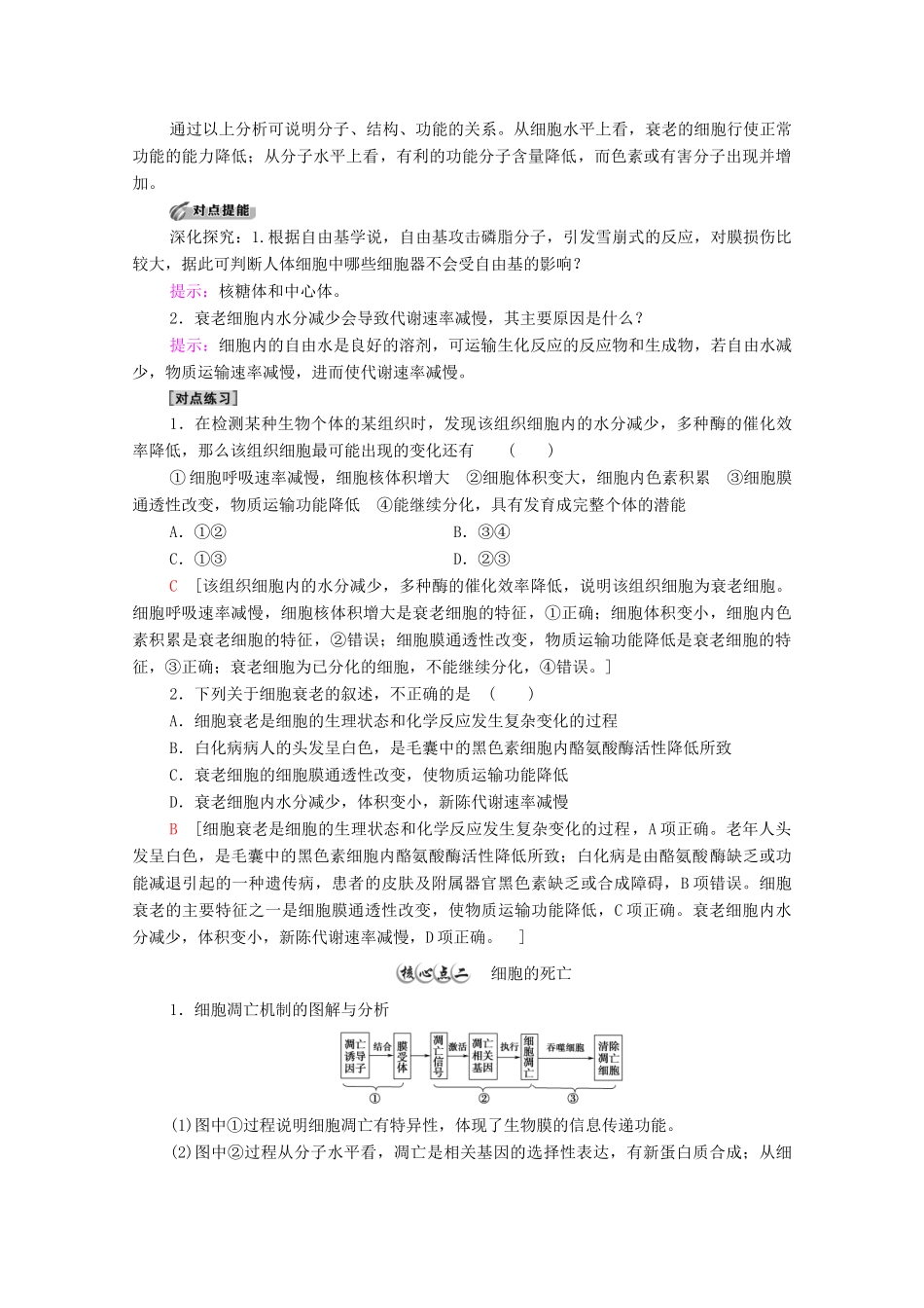 高中生物 第6章 细胞的生命历程 第3节 细胞的衰老和死亡学案 新人教版必修1-新人教版高中必修1生物学案_第3页