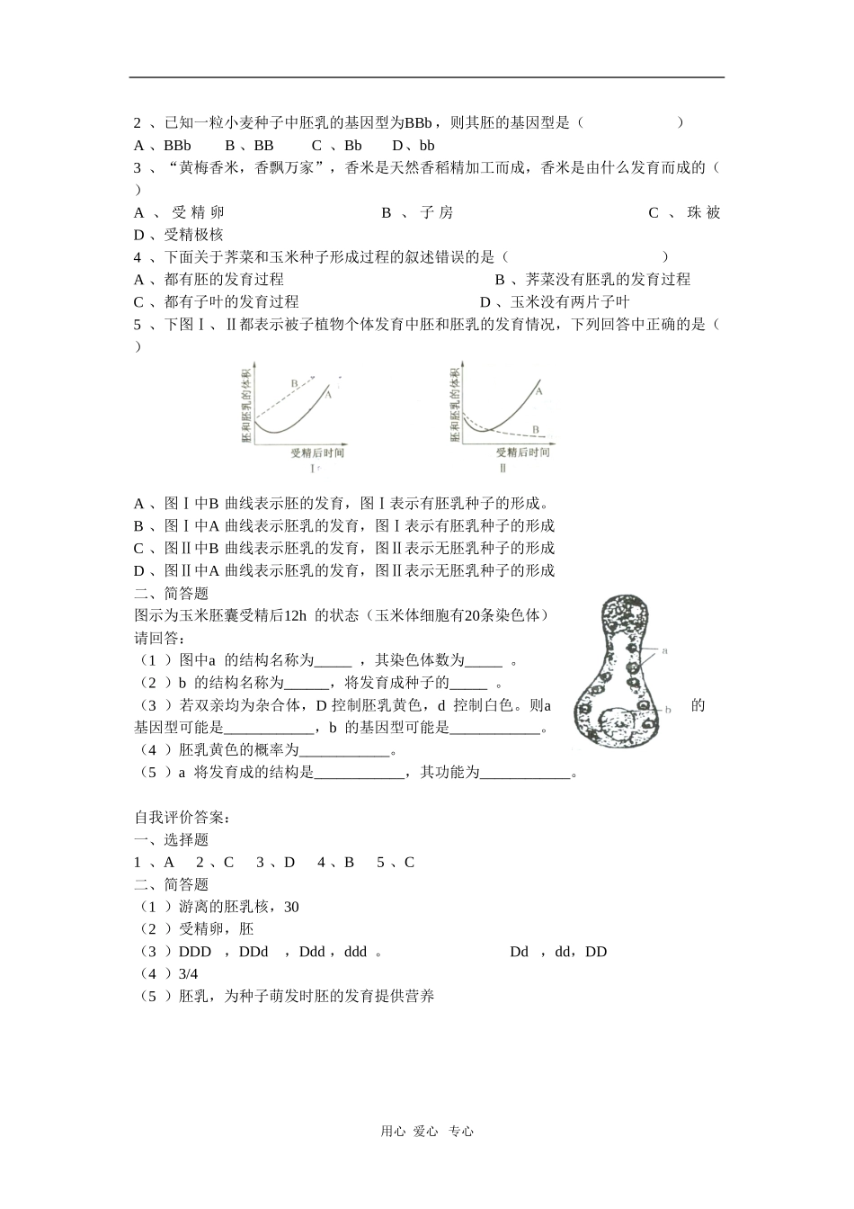 高中生物第一册学案：被子植物的个体发育_第2页
