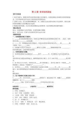 九年级历史下册 6.12 亚非拉的奋起学案 新人教版-新人教版初中九年级下册历史学案