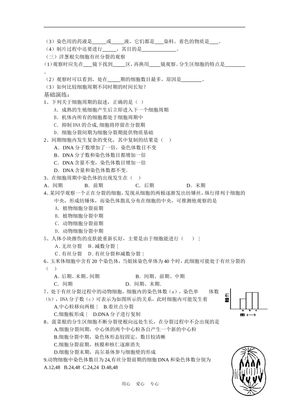 高中生物《细胞的增殖》学案1 新人教版必修1_第3页
