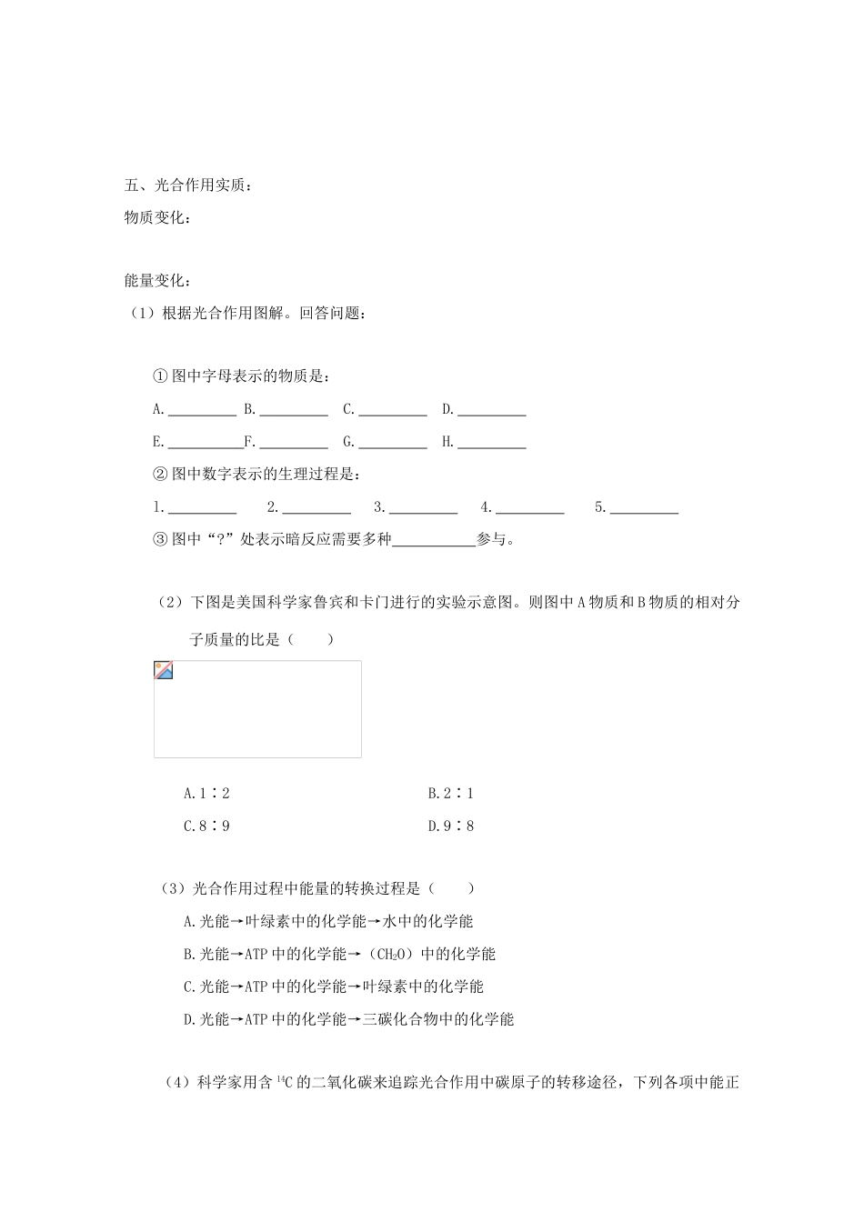 高中生物 第一册 第4章 生命的物质变化和能量转换 4.2 光合作用的过程学案（4）沪科版-沪科版高一第一册生物学案_第2页