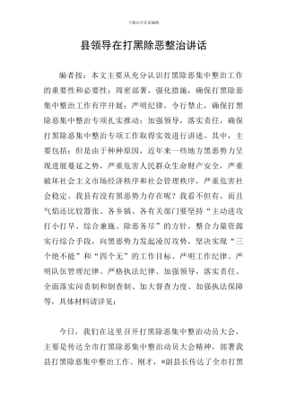 县领导在打黑除恶整治讲话