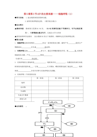 高中生物 第五章 细胞的能量供应和利用 5.3 ATP的主要来源-----细胞呼吸（1）学案 新人教版必修1-新人教版高一必修1生物学案