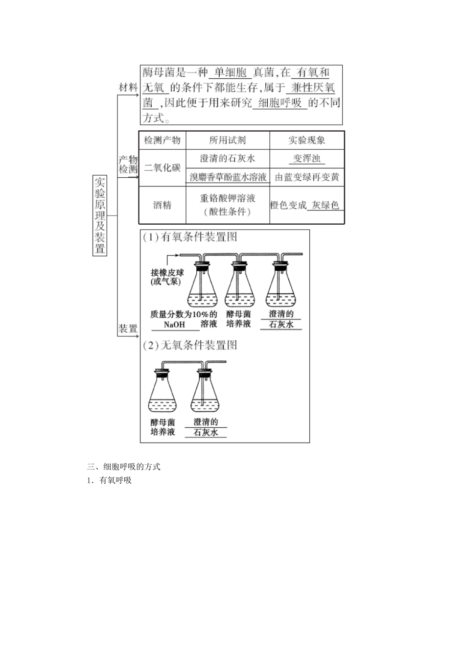 高中生物 第五章 细胞的能量供应和利用  第3节 ATP的主要来源——细胞呼吸学案 新人教版必修1-新人教版高一必修1生物学案_第2页