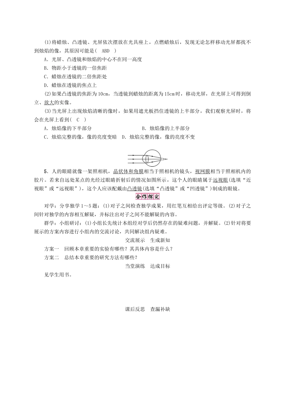 秋八年级物理上册 5 透镜及其应用复习学案 （新版）新人教版-（新版）新人教版初中八年级上册物理学案_第3页