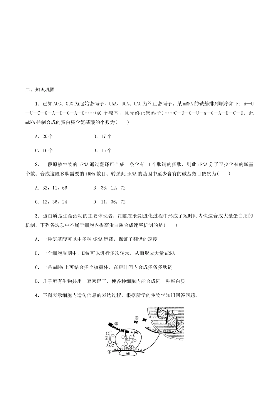 高中生物 第二章 遗传信息的复制与表达 第二节 翻译学案 北师大版必修2-北师大版高一必修2生物学案_第2页