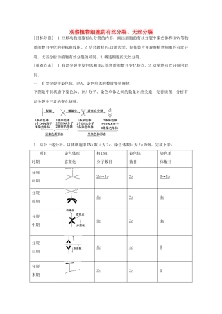 高中生物 第五章 第22课时 观察植物细胞的有丝分裂、无丝分裂课时作业 苏教版必修1-苏教版高一必修1生物学案