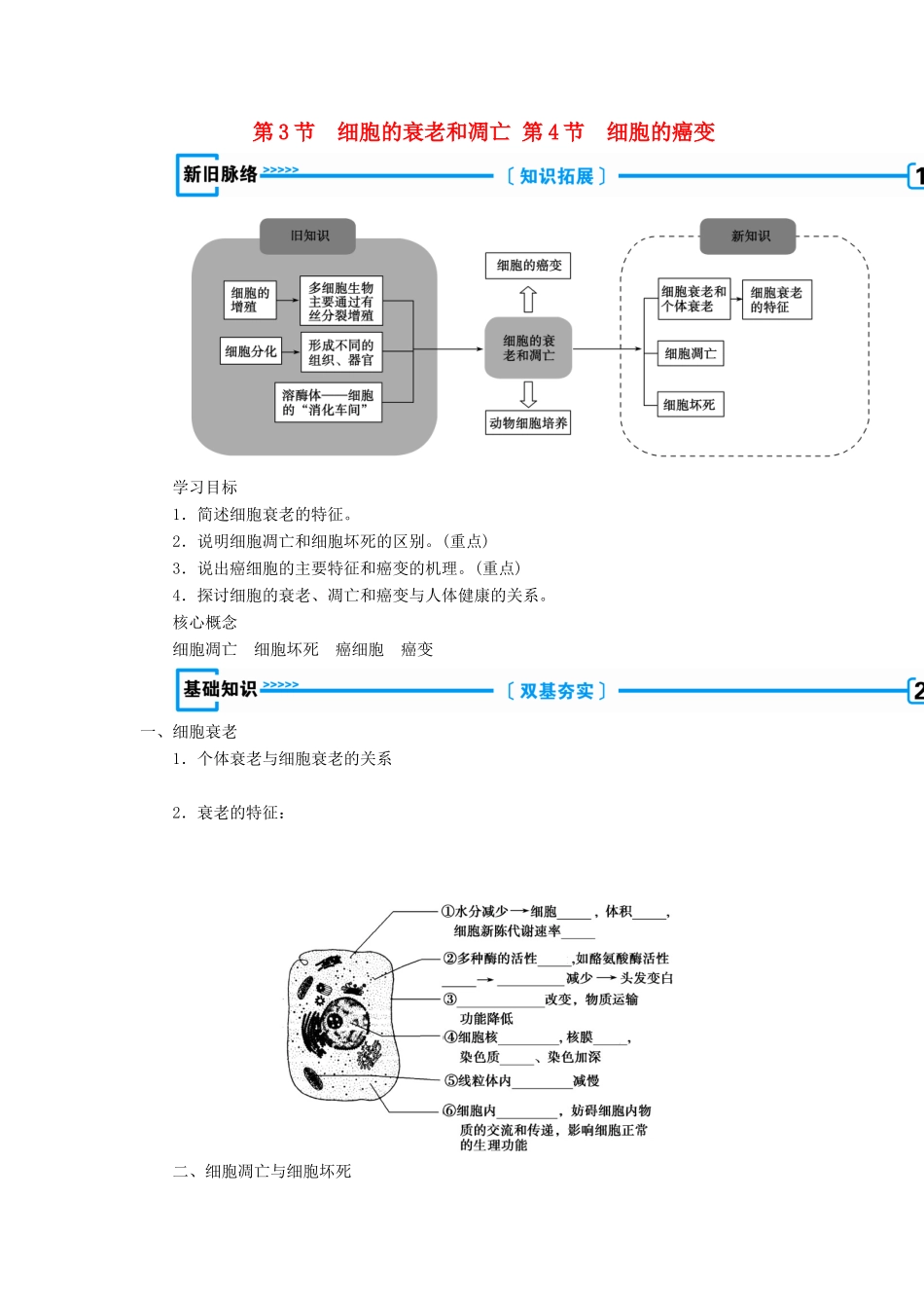 高中生物 第六章 细胞的生命历程  第3节 细胞的衰老和凋亡  第4节 细胞的癌变学案 新人教版必修1-新人教版高一必修1生物学案_第1页