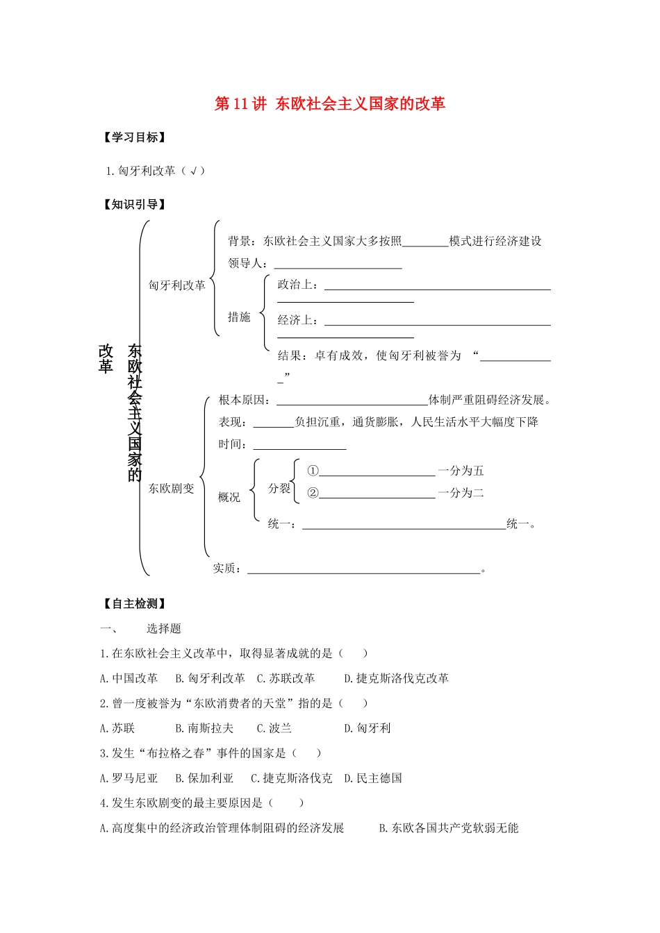 九年级历史下册：第11讲《东欧社会主义国家的改革》学案（人教新课标版）_第1页