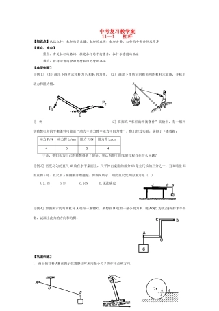 中考物理上册 第11章复习教学案 苏科版