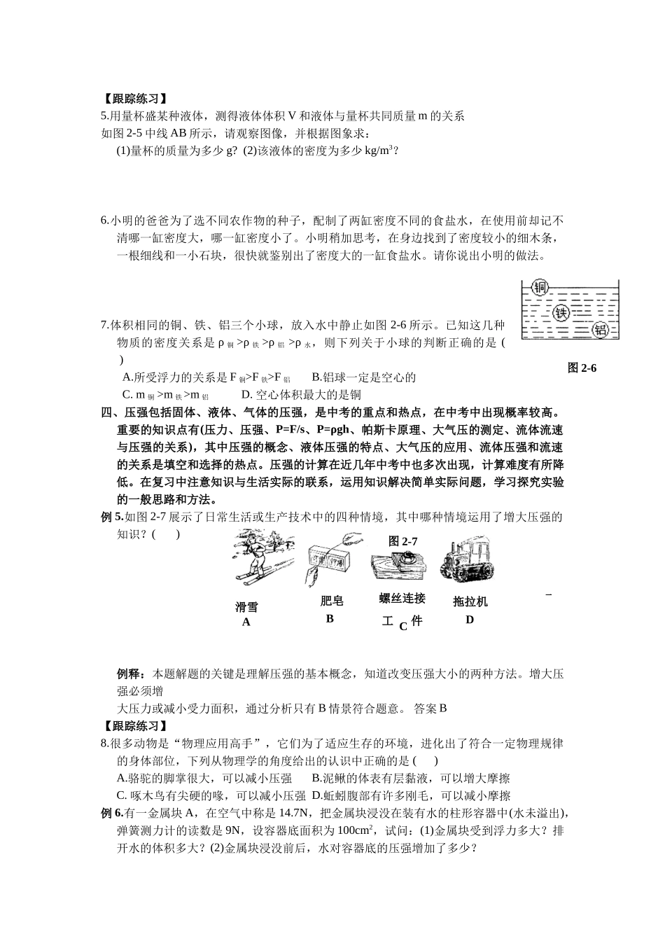 【中考物理第二轮复习学案】密度浮力和压强_第3页