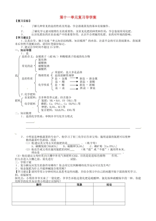 甘肃省玉门市花海中学九年级化学下册 第十一单元复习导学案（无答案） 新人教版
