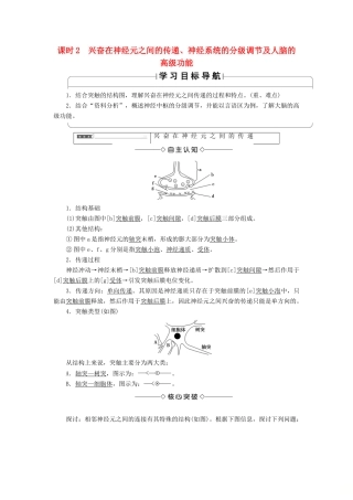 高中生物 第二章 动物和人体生命活动的调节 第1节 课时2 兴奋在神经元之间的传递、神经系统的分级调节及人脑的高级功能学案 新人教版必修3-新人教版高一必修3生物学案