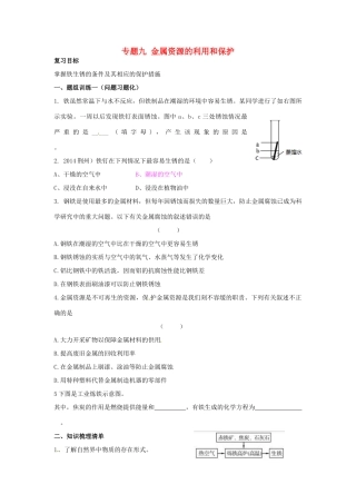 山西省阳泉市平定县中考化学 专题复习九 金属资源的利用和保护导学案 新人教版-新人教版初中九年级全册化学学案