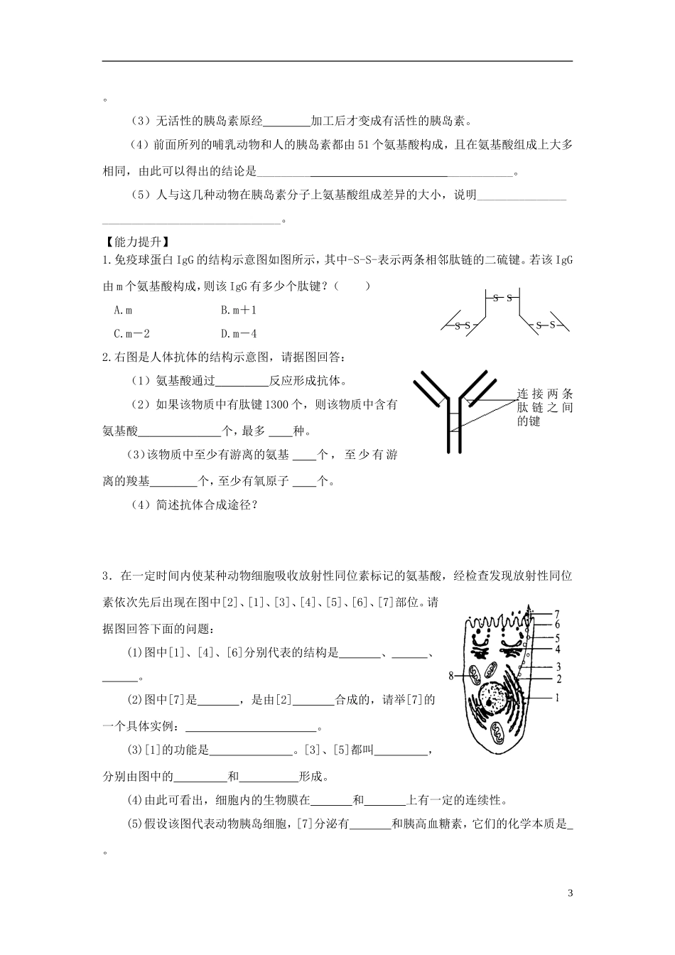 高中生物 第二单元 第一章 第二节 蛋白质的合成和运输学案设计 中图版必修1-中图版高一必修1生物学案_第3页