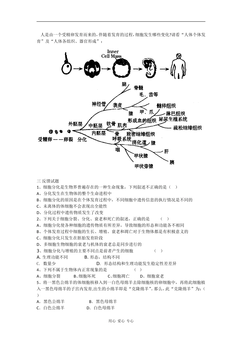 高中生物：4.2《细胞的分化》学案浙科版必修1_第2页