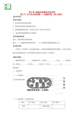 高中生物 第五章 细胞的能量供应和利用 5.3 ATP的主要来源——细胞呼吸（第2课时）学案 新人教版必修1-新人教版高一必修1生物学案