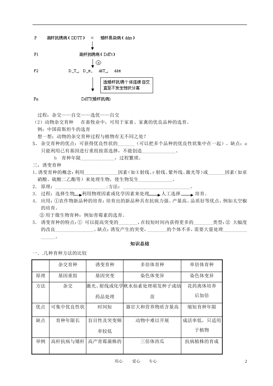 高中生物 第六章第1节杂交育种与诱变育种导学案 新人教版必修2_第2页