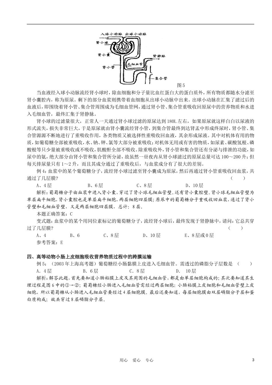 高中生物《物质的跨膜运输》学案1 苏教版必修1_第3页
