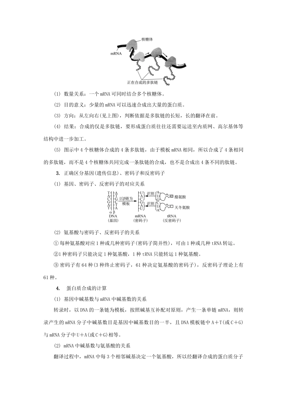 高中生物 第十三讲 基因及其表达学案 苏教版必修2-苏教版高二必修2生物学案_第3页