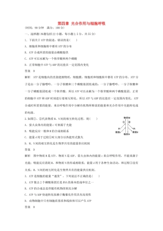 高中生物 第四章 光合作用与细胞呼吸检测卷 苏教版必修1-苏教版高一必修1生物学案