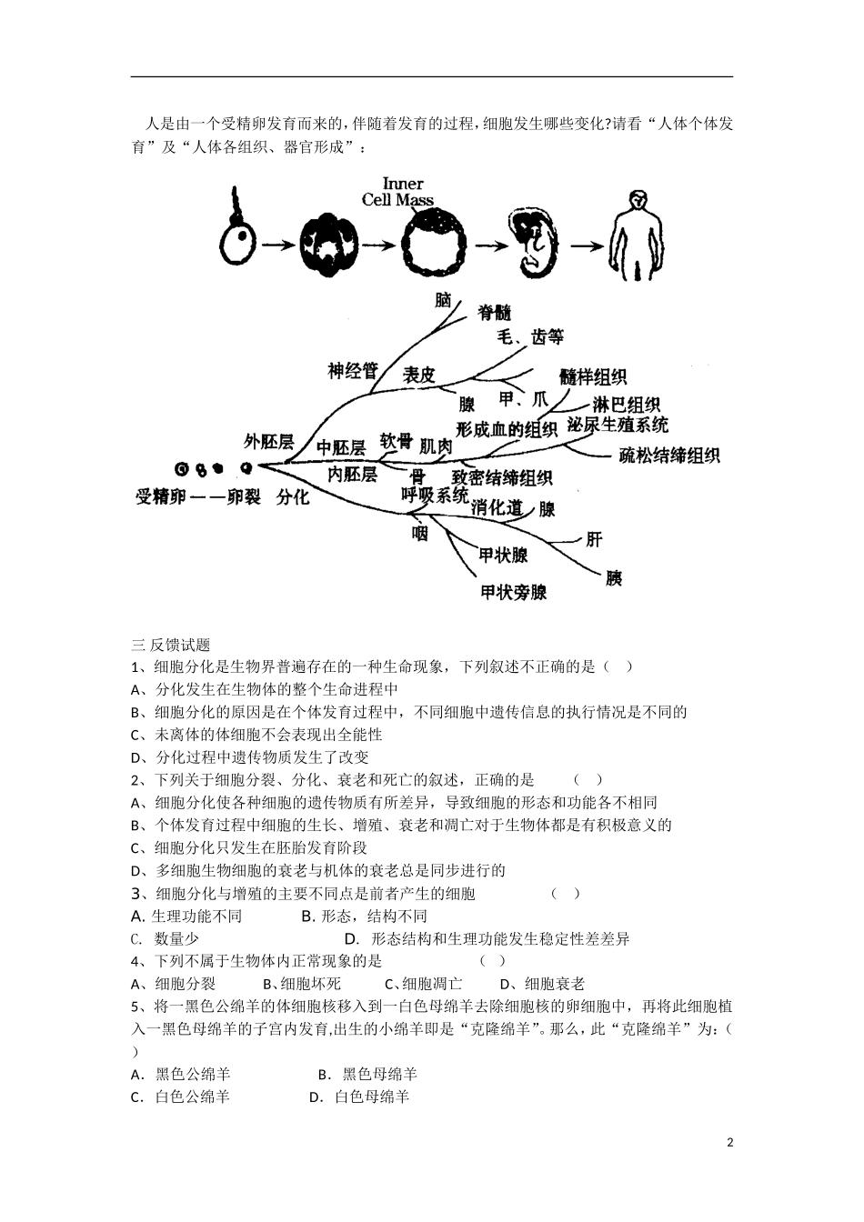 高中生物《细胞的分化》学案1 浙教版必修1_第2页