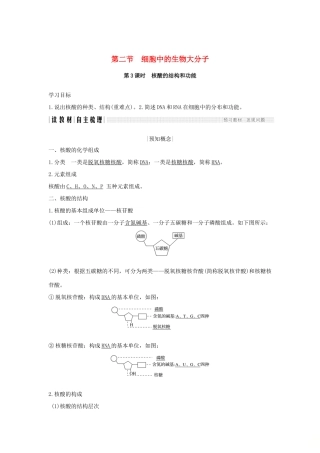 高中生物 第二章 细胞的化学组成 第二节 细胞中的生物大分子（第3课时）学案 苏教版必修1-苏教版高二必修1生物学案