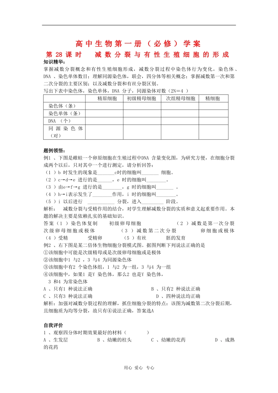 高中生物第一册学案：减数分裂与有性生殖细胞的形成_第1页