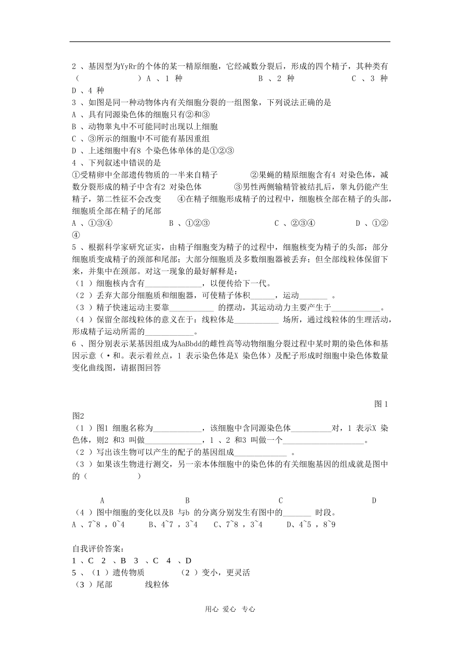 高中生物第一册学案：减数分裂与有性生殖细胞的形成_第2页