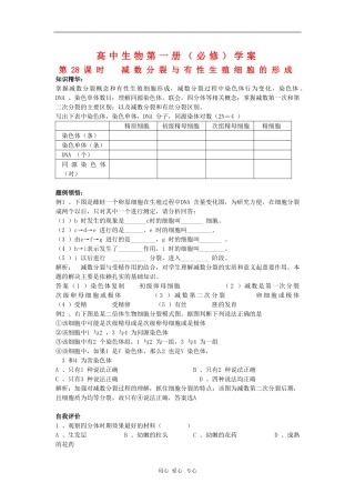 高中生物第一册学案：减数分裂与有性生殖细胞的形成