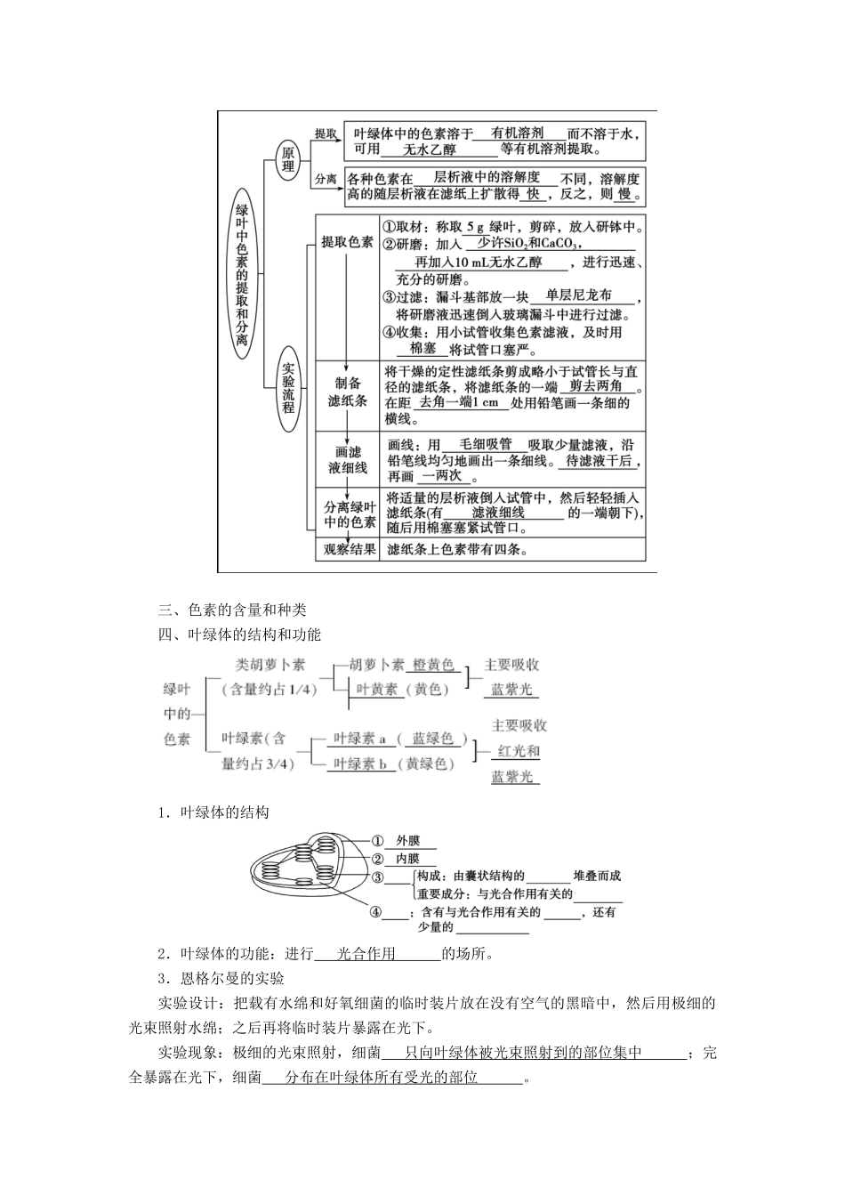 高中生物 第五章 细胞的能量供应和利用  第4节 能量之源——光与光合作用学案 新人教版必修1-新人教版高一必修1生物学案_第2页
