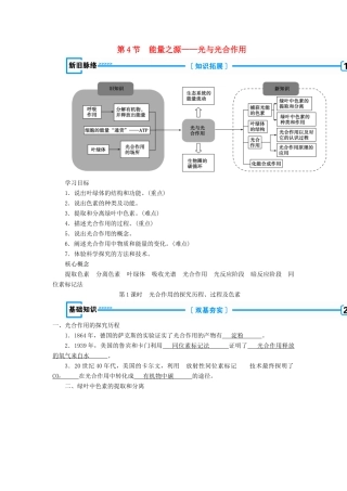 高中生物 第五章 细胞的能量供应和利用  第4节 能量之源——光与光合作用学案 新人教版必修1-新人教版高一必修1生物学案