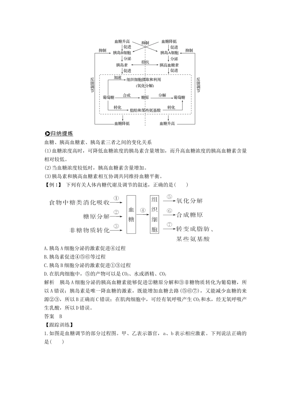 高中生物 第二章 生物的个体稳态 第一节 第3课 血糖调节学案 苏教版必修3-苏教版高一必修3生物学案_第3页