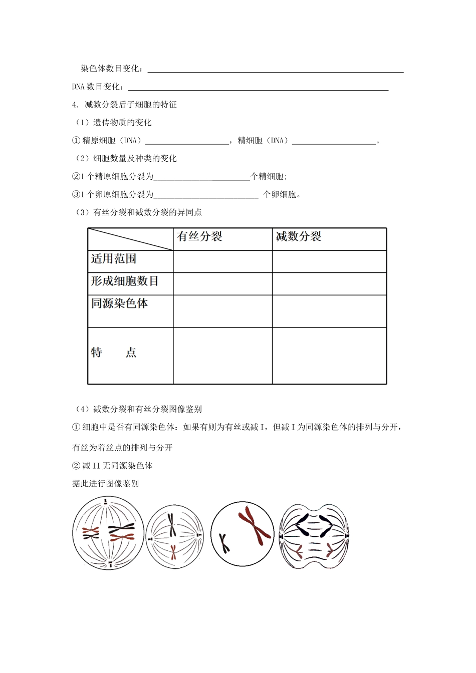高中生物 第二章 染色体与遗传 第一节 染色体通过配子传递给子代学案（3）浙科版必修2-浙科版高一必修2生物学案_第3页