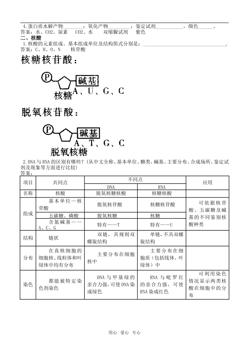 高中生物《分子与细胞》第二章 第2节：生命活动的主要承担者学案人教版必修1_第2页