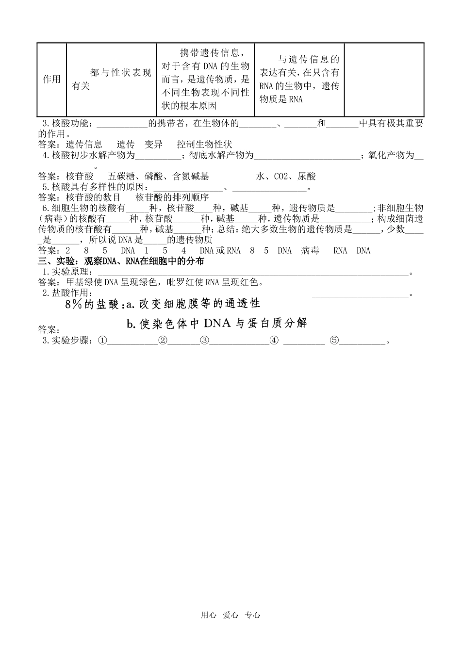 高中生物《分子与细胞》第二章 第2节：生命活动的主要承担者学案人教版必修1_第3页