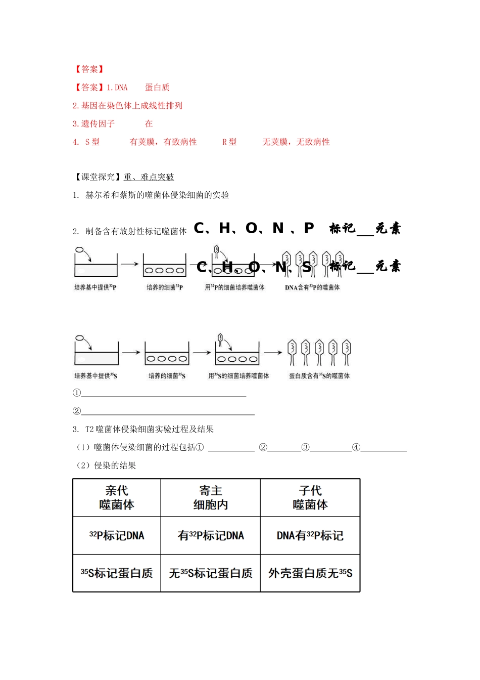 高中生物 第三章 遗传的分子基础 第一节 核酸是遗传物质学案（3）浙科版必修2-浙科版高一必修2生物学案_第2页