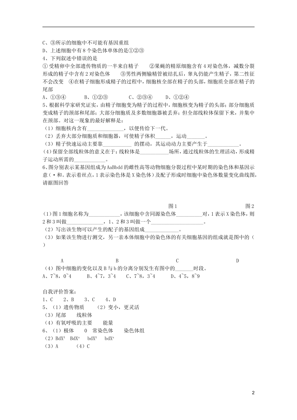 高中生物第一册 第五章第一节减数分裂与有性生殖细胞的形成学案 必修_第2页