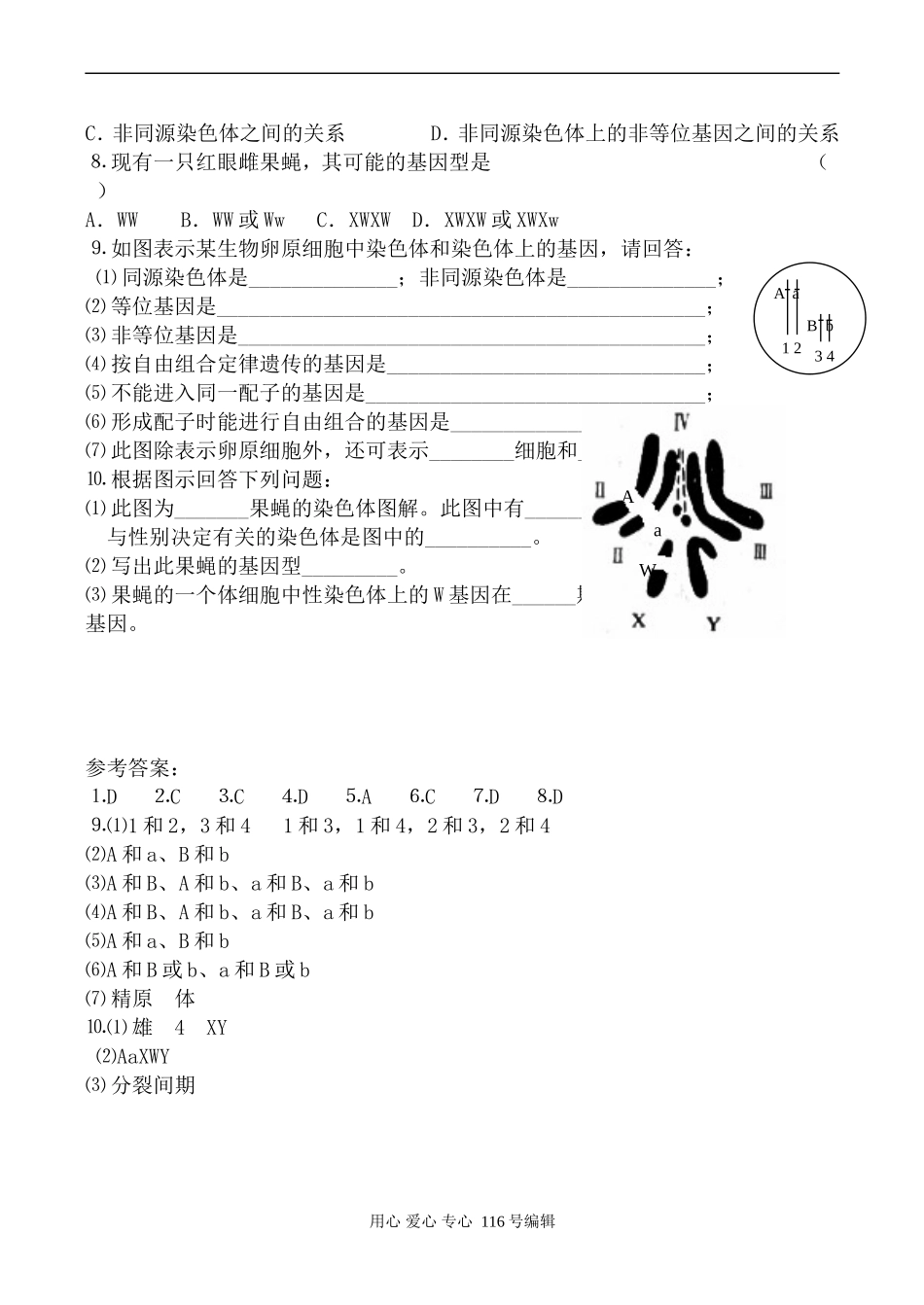 高中生物人教版必修2基因在染色体上 学案_第3页