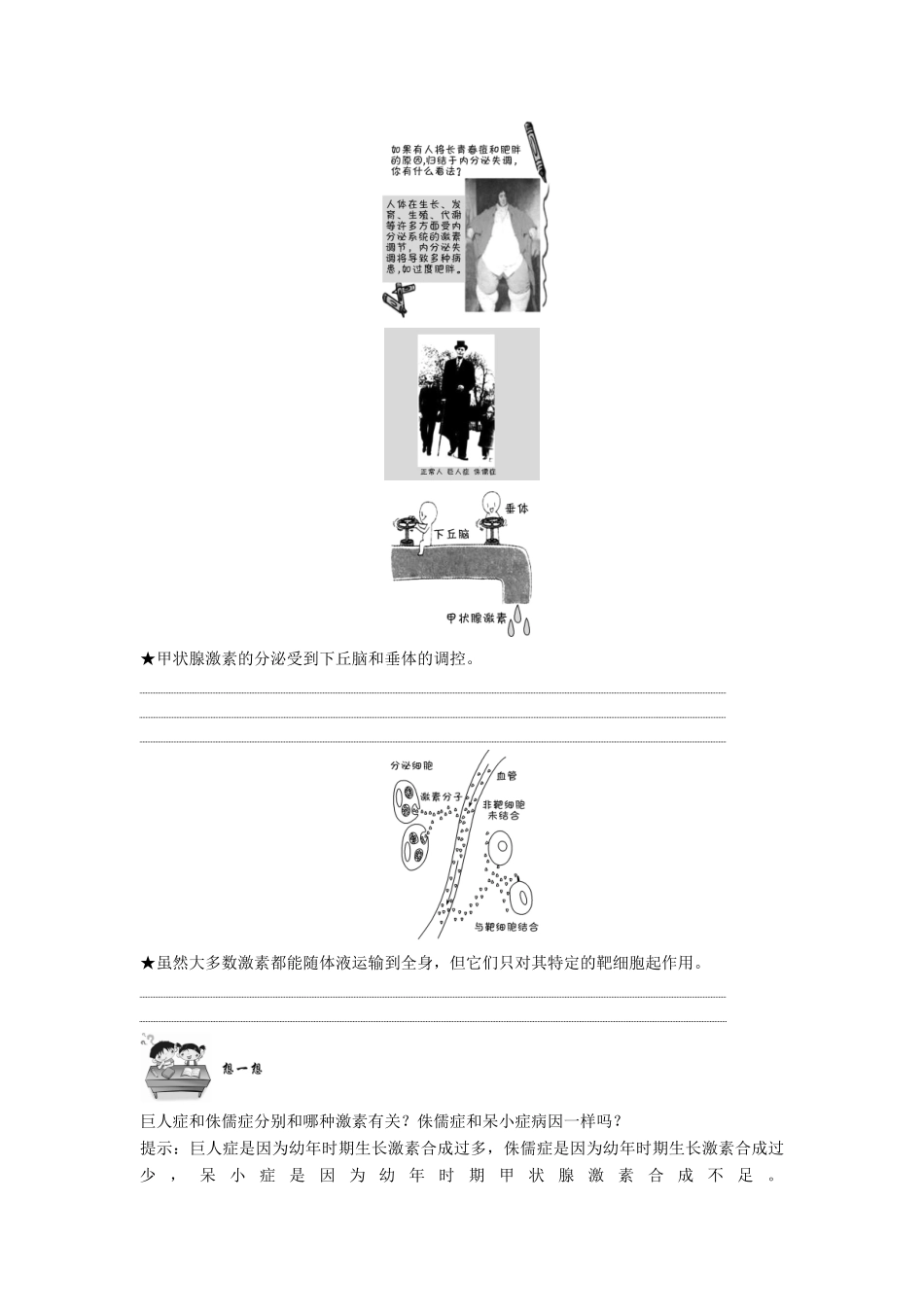 高中生物 第二章 生物的个体稳态 第二节 第3课 人体的激素调节学案 苏教版必修3-苏教版高一必修3生物学案_第3页