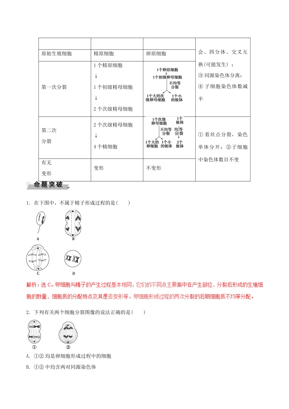 高中生物 第二章 基因和染色体的关系 第1节 减数分裂和受精作用（Ⅱ）导学案 新人教版必修2-新人教版高一必修2生物学案_第3页