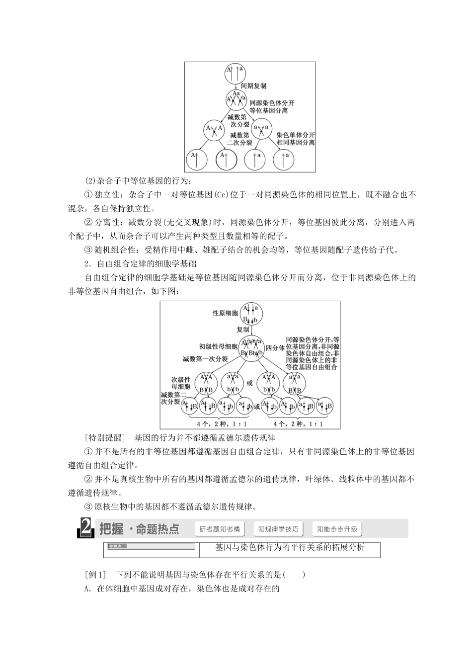 高中生物 第二章 染色体与遗传 第二节 遗传的染色体学说学案 浙科版必修2-浙科版高一必修2生物学案_第3页