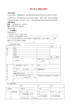 山东省烟台市黄务中学九年级化学上册 第六单元 燃烧与燃料学案（无答案） （新版）鲁教版