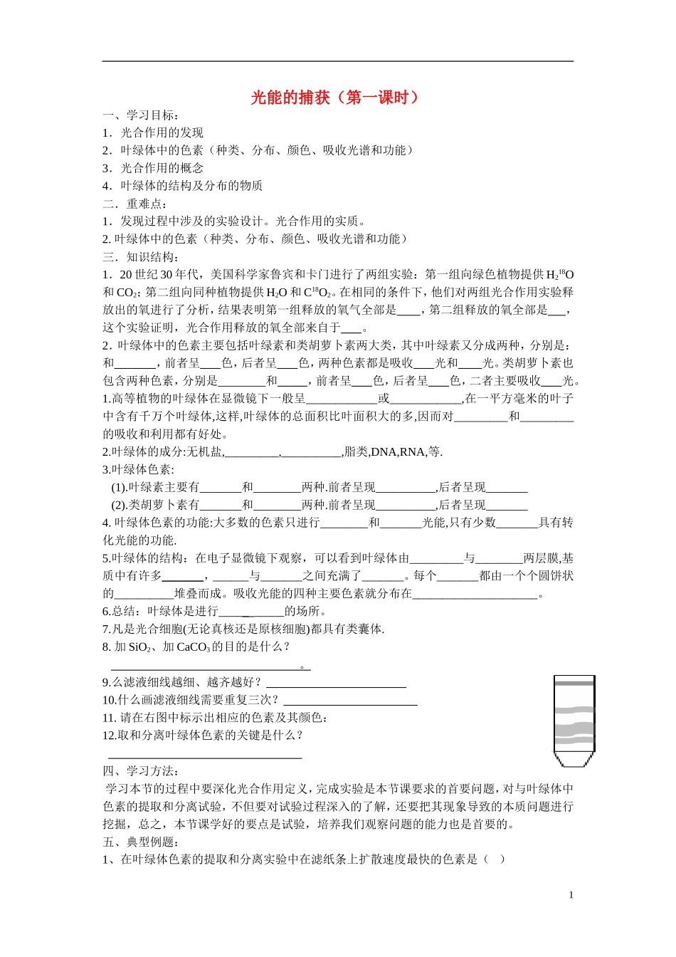 高中生物《光能的捕获》学案1 中图版必修1_第1页
