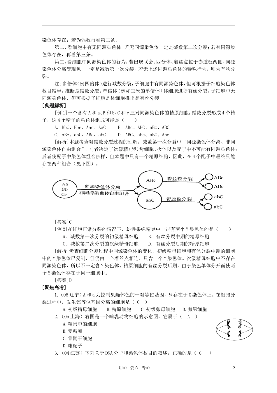 高中生物《减数分裂与配子形成》学案2 中图版必修2_第2页