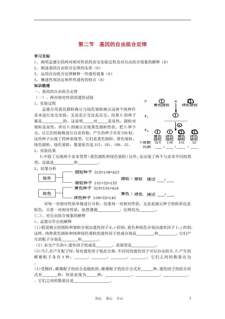 高中生物《基因的自由组合定律》学案1 苏教版必修2_第1页
