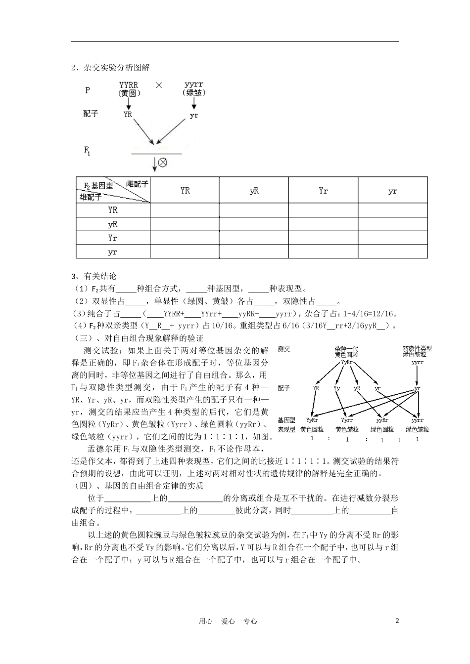高中生物《基因的自由组合定律》学案1 苏教版必修2_第2页